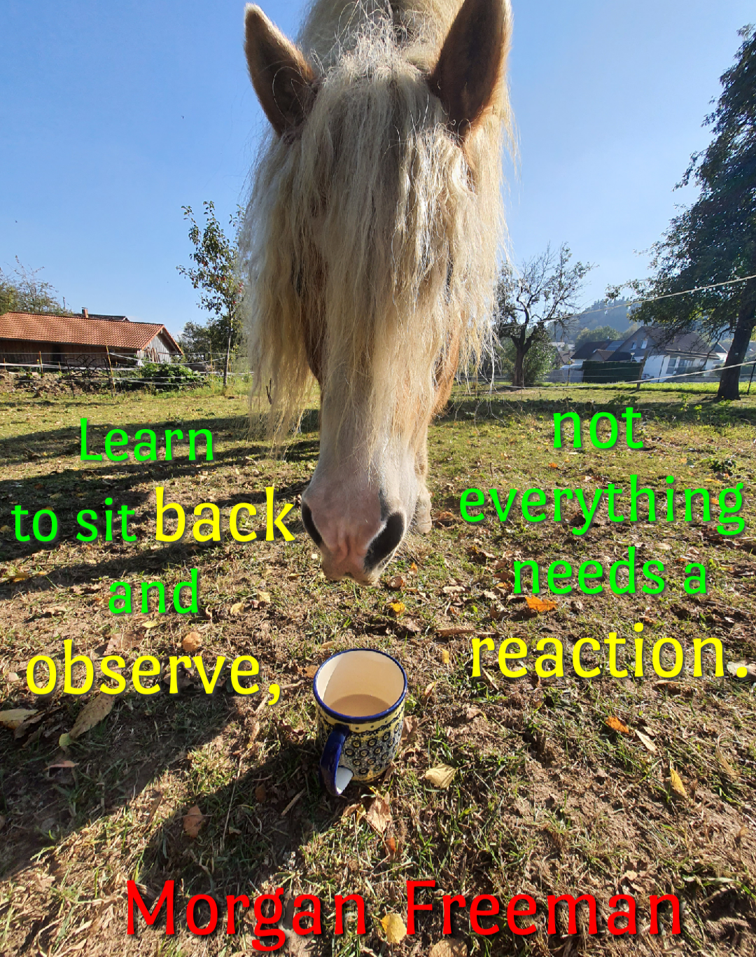 Learn to sit back and observe
